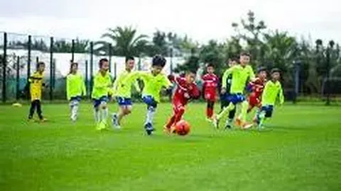 开云体育app 资讯 123848 1m8