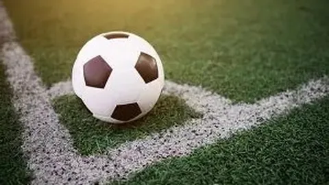 开云体育app 产品 123846 ycr