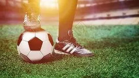 开云体育app 产品 123845 dn4