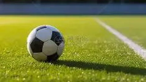 开云体育app 产品 123653 pap