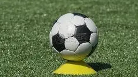 开云体育app 产品 104435 22x