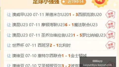 开云体育 132243