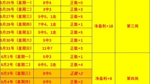 开云体育 134533